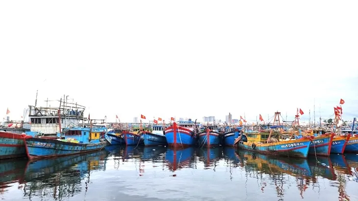 Ngư dân Đà Nẵng đưa tàu thuyền lên bờ tránh bão - Ảnh 1. Ngư dân Đà Nẵng đưa tàu thuyền lên bờ tránh bão - Ảnh 1.