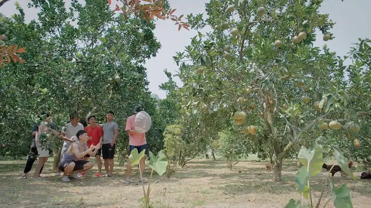 Ga-ra hạnh phúc - Tập 22: Trung trâu vượt qua nỗi sợ bắt gà tặng Sơn Ca - Ảnh 2. Ga-ra hạnh phúc - Tập 22: Trung trâu vượt qua nỗi sợ bắt gà tặng Sơn Ca - Ảnh 2.