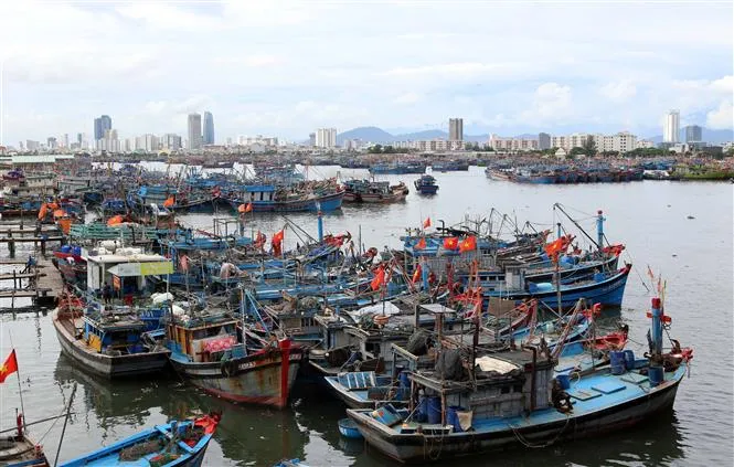 Đảm bảo an toàn tàu thuyền trước bão số 4 - Ảnh 1. Đảm bảo an toàn tàu thuyền trước bão số 4 - Ảnh 1.
