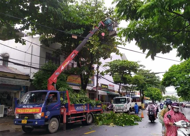 Ứng phó bão số 4, Quảng Nam sơ tán hơn 133.000 dân - Ảnh 8. Ứng phó bão số 4, Quảng Nam sơ tán hơn 133.000 dân - Ảnh 8.