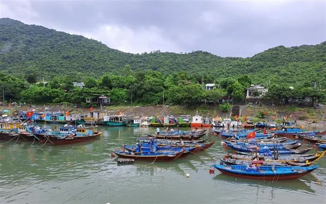 Ứng phó bão số 4, Quảng Nam sơ tán hơn 133.000 dân - Ảnh 4. Ứng phó bão số 4, Quảng Nam sơ tán hơn 133.000 dân - Ảnh 4.