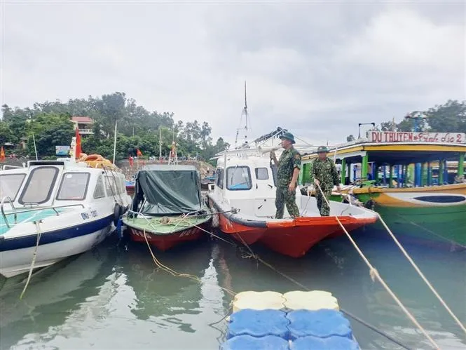 Ứng phó bão số 4, Quảng Nam sơ tán hơn 133.000 dân - Ảnh 2. Ứng phó bão số 4, Quảng Nam sơ tán hơn 133.000 dân - Ảnh 2.