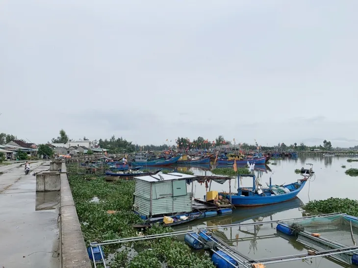 Quảng Nam đưa người già, phụ nữ, trẻ em xã đảo Tam Hải vào đất liền tránh bão - Ảnh 4. Quảng Nam đưa người già, phụ nữ, trẻ em xã đảo Tam Hải vào đất liền tránh bão - Ảnh 4.