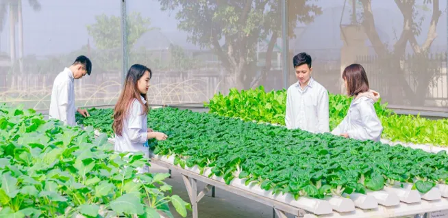 Nông nghiệp công nghệ cao – Xu thế tất yếu của kỷ nguyên số - Ảnh 2. Nông nghiệp công nghệ cao – Xu thế tất yếu của kỷ nguyên số - Ảnh 2.