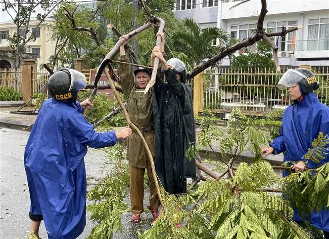 Quảng Nam: Người dân bắt đầu dọn dẹp, khắc phục hậu quả bão số 4 - Ảnh 3. Quảng Nam: Người dân bắt đầu dọn dẹp, khắc phục hậu quả bão số 4 - Ảnh 3.