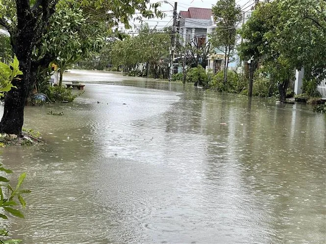 Quảng Nam: Người dân bắt đầu dọn dẹp, khắc phục hậu quả bão số 4 - Ảnh 8. Quảng Nam: Người dân bắt đầu dọn dẹp, khắc phục hậu quả bão số 4 - Ảnh 8.