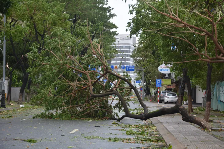 Cây xanh ngã đổ ngổn ngang trên đường phố Đà Nẵng sau khi bão số 4 đổ bộ  - Ảnh 3.