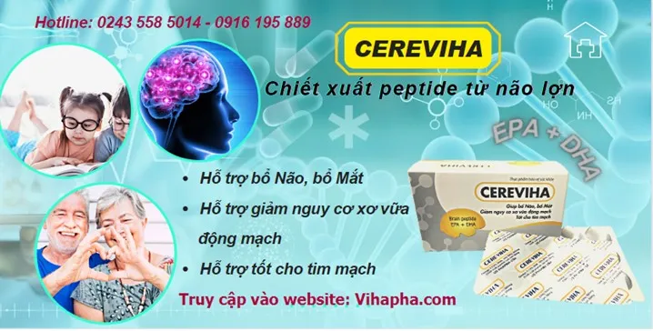 CEREVIHA – Giải pháp hạn chế nguy cơ tăng cholesterol trong máu - Ảnh 1. CEREVIHA – Giải pháp hạn chế nguy cơ tăng cholesterol trong máu - Ảnh 1.