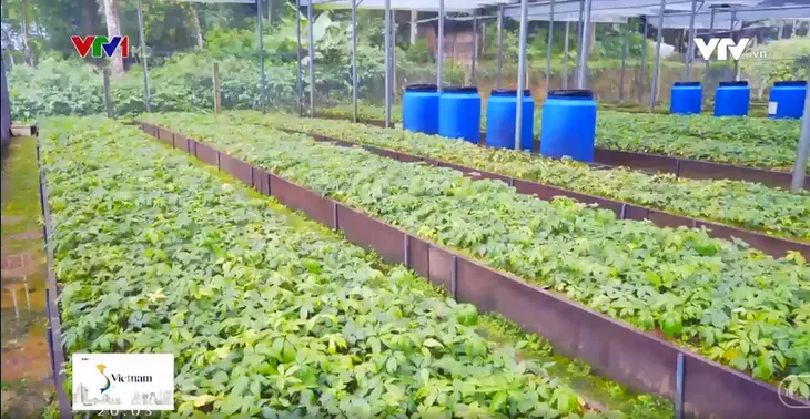 Quốc bảo trên rẻo cao Tây Bắc - Ảnh 1.