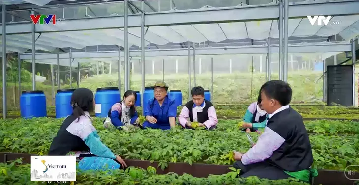 Quốc bảo trên rẻo cao Tây Bắc - Ảnh 3.