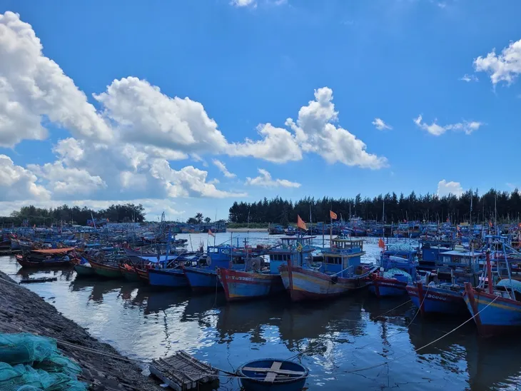 Lúa chín rục ngoài đồng, nông dân khốn đốn vì máy gặt “khát” dầu - Ảnh 2. Lúa chín rục ngoài đồng, nông dân khốn đốn vì máy gặt “khát” dầu - Ảnh 2.