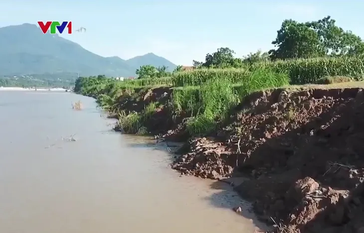 Khai thác cát gây sạt lở đất nông nghiệp - Ảnh 1. Khai thác cát gây sạt lở đất nông nghiệp - Ảnh 1.