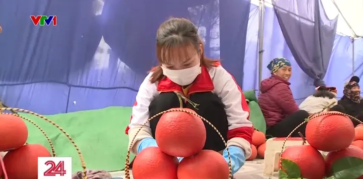 Làng quả, làng hoa rộn ràng đón Tết - Ảnh 5. Làng quả, làng hoa rộn ràng đón Tết - Ảnh 5.