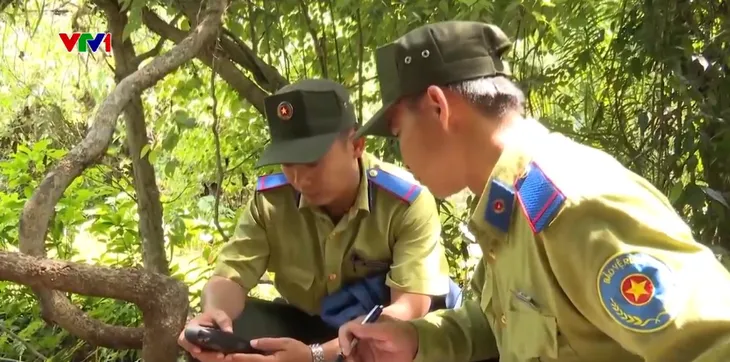 Voi rừng liên tục xuất hiện tại Quảng Nam - Ảnh 3. Voi rừng liên tục xuất hiện tại Quảng Nam - Ảnh 3.