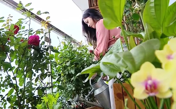 Tết xanh đang trở thành xu thế - Ảnh 2.