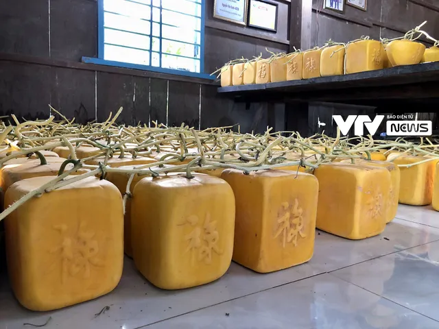 Tạo hình dưa hấu thành thỏi vàng, nông dân thu bạc triệu vụ Tết - Ảnh 4. Tạo hình dưa hấu thành thỏi vàng, nông dân thu bạc triệu vụ Tết - Ảnh 4.