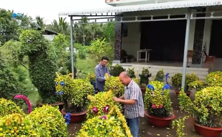 Độc, lạ quất cảnh tạo hình mèo - Ảnh 2. Độc, lạ quất cảnh tạo hình mèo - Ảnh 2.