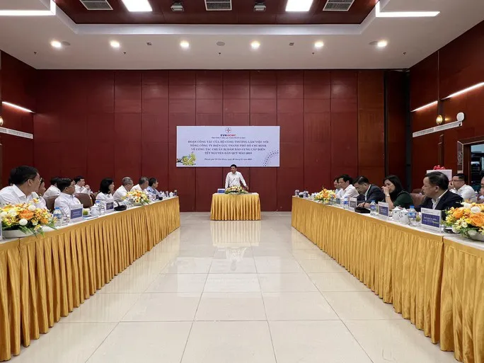 Đảm bảo cấp điện dịp Tết Nguyên đán 2023 - Ảnh 1. Đảm bảo cấp điện dịp Tết Nguyên đán 2023 - Ảnh 1.