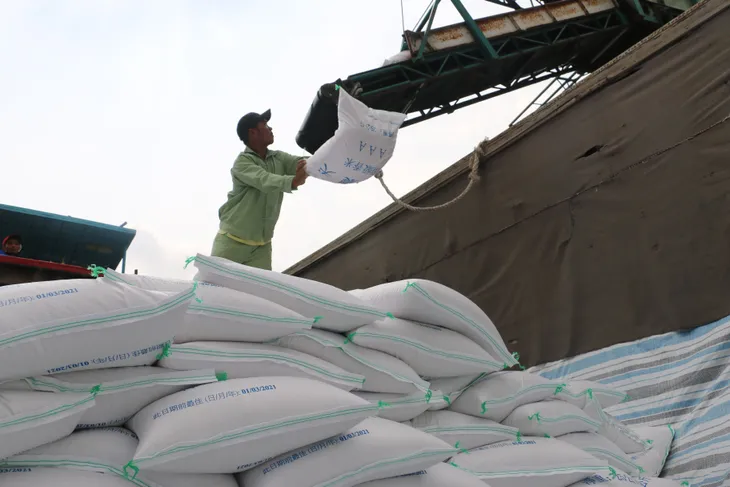 Nông dân trồng lúa miền Tây trúng mùa, trúng giá - Ảnh 2. Nông dân trồng lúa miền Tây trúng mùa, trúng giá - Ảnh 2.