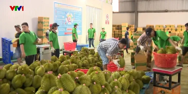 Triển vọng xuất khẩu nông sản Việt - Ảnh 2. Triển vọng xuất khẩu nông sản Việt - Ảnh 2.