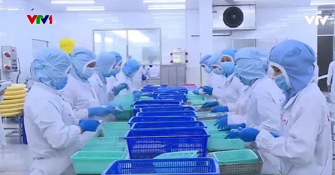 Nông sản tìm cách tăng trưởng xuất khẩu - Ảnh 1. Nông sản tìm cách tăng trưởng xuất khẩu - Ảnh 1.