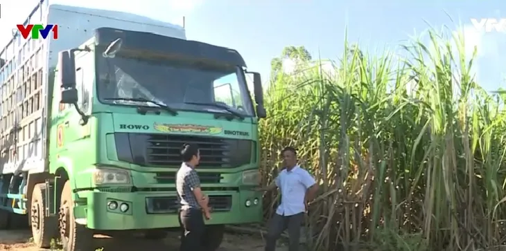 Những tỷ phú của buôn làng Tây Nguyên - Ảnh 1. Những tỷ phú của buôn làng Tây Nguyên - Ảnh 1.