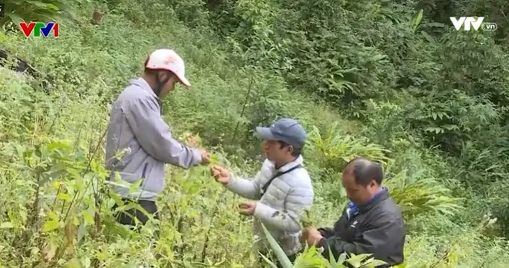 Những tỷ phú của buôn làng Tây Nguyên - Ảnh 2. Những tỷ phú của buôn làng Tây Nguyên - Ảnh 2.