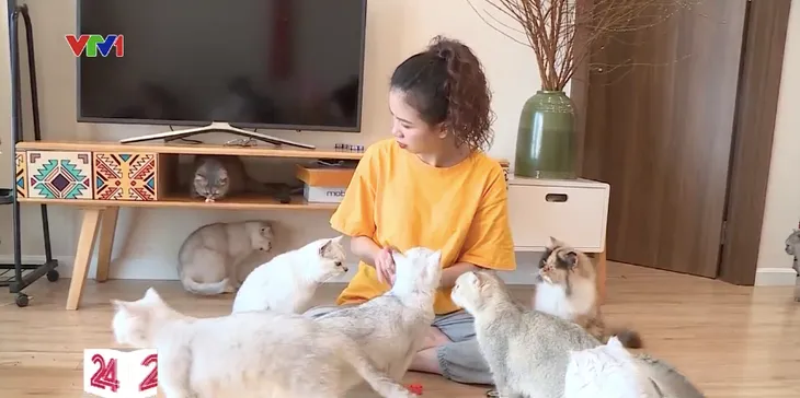 Năm Mão trò chuyện với cô gái nuôi 30 con mèo - Ảnh 5. Năm Mão trò chuyện với cô gái nuôi 30 con mèo - Ảnh 5.