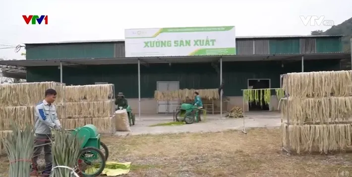 Doanh nghiệp thay đổi để thích nghi và phát triển - Ảnh 3. Doanh nghiệp thay đổi để thích nghi và phát triển - Ảnh 3.