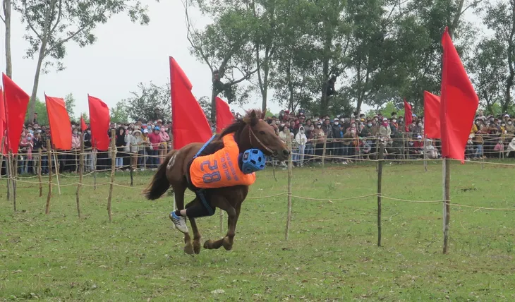 Sôi nổi Hội đua ngựa truyền thống Gò Thì Thùng ở Phú Yên - Ảnh 3. Sôi nổi Hội đua ngựa truyền thống Gò Thì Thùng ở Phú Yên - Ảnh 3.