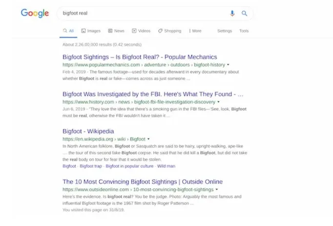7 loại kết quả tìm kiếm của Google bạn không nên tin tưởng một cách mù quáng - Ảnh 2. 7 loại kết quả tìm kiếm của Google bạn không nên tin tưởng một cách mù quáng - Ảnh 2.