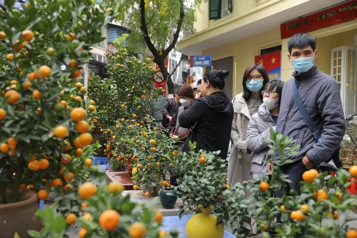 Thời tiết Tết Nguyên đán có khả năng không quá rét - Ảnh 3. Thời tiết Tết Nguyên đán có khả năng không quá rét - Ảnh 3.