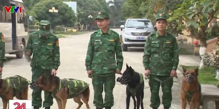 Việt Nam điều chó nghiệp vụ cứu nạn thảm họa động đất tại Thổ Nhĩ Kỳ - Ảnh 2. Việt Nam điều chó nghiệp vụ cứu nạn thảm họa động đất tại Thổ Nhĩ Kỳ - Ảnh 2.