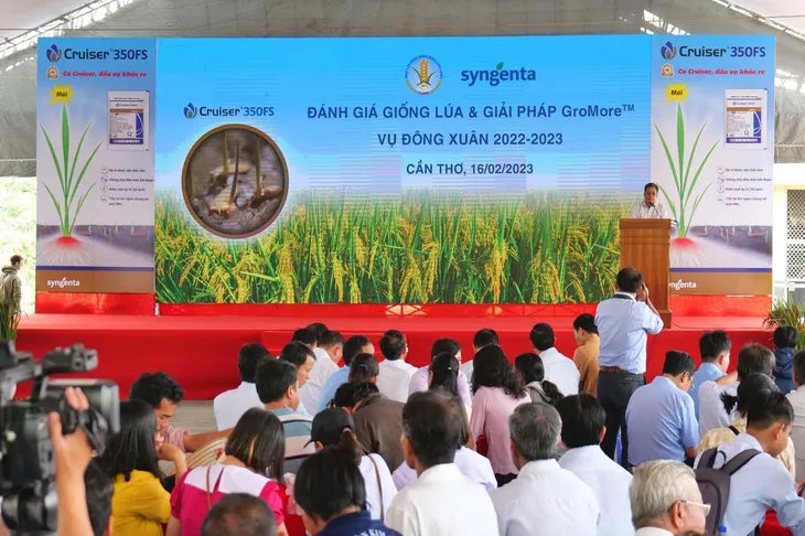 Incipio 200SC - Giải pháp đột phá công phá tính kháng của sâu hại - Ảnh 1. Incipio 200SC - Giải pháp đột phá công phá tính kháng của sâu hại - Ảnh 1.