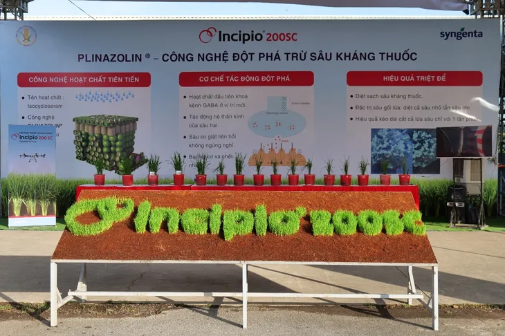 Incipio 200SC - Giải pháp đột phá công phá tính kháng của sâu hại - Ảnh 4. Incipio 200SC - Giải pháp đột phá công phá tính kháng của sâu hại - Ảnh 4.