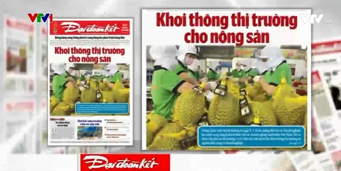 Xuất khẩu nông sản: Xây dựng thương hiệu thay vì đi buôn chuyến - Ảnh 1. Xuất khẩu nông sản: Xây dựng thương hiệu thay vì đi buôn chuyến - Ảnh 1.