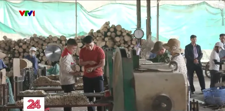 Chàng trai trẻ mang đũa gỗ Việt Nam ra thế giới - Ảnh 2. Chàng trai trẻ mang đũa gỗ Việt Nam ra thế giới - Ảnh 2.