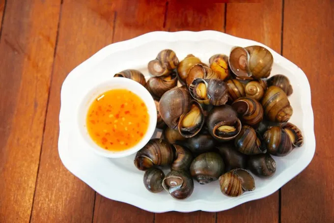 Cần biết điều này khi ăn ốc để không vô tình gây hại - Ảnh 1. Cần biết điều này khi ăn ốc để không vô tình gây hại - Ảnh 1.