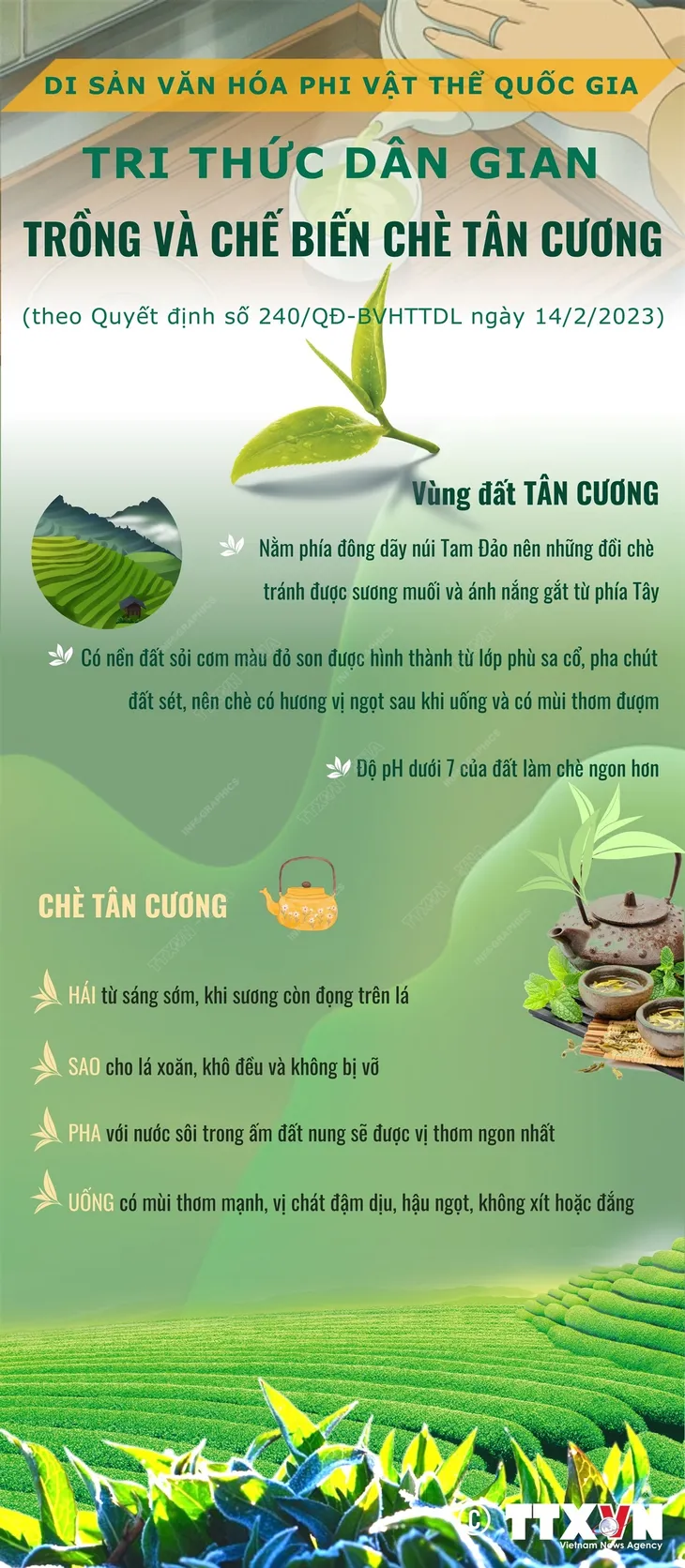 Tri thức dân gian trồng và chế biến chè Tân Cương - Di sản văn hóa phi vật thể quốc gia - Ảnh 1. Tri thức dân gian trồng và chế biến chè Tân Cương - Di sản văn hóa phi vật thể quốc gia - Ảnh 1.