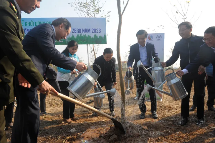 Trồng cây để đưa phát thải ròng bằng 0 - Ảnh 1. Trồng cây để đưa phát thải ròng bằng 0 - Ảnh 1.