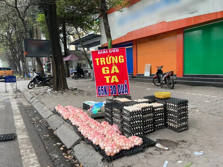 Cảnh giác với trứng gia cầm giải cứu - Ảnh 1. Cảnh giác với trứng gia cầm giải cứu - Ảnh 1.