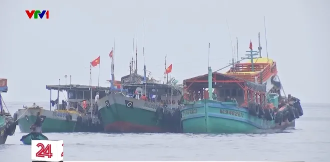 Việt Nam nỗ lực gỡ thẻ vàng thủy sản - Ảnh 4. Việt Nam nỗ lực gỡ thẻ vàng thủy sản - Ảnh 4.