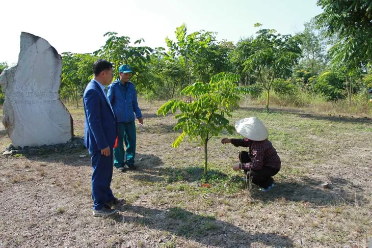 Tái tạo rừng lim tại Khu di tích lịch sử chiến thắng Bạch Đằng - Ảnh 1. Tái tạo rừng lim tại Khu di tích lịch sử chiến thắng Bạch Đằng - Ảnh 1.