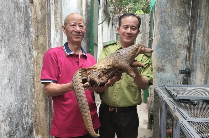 Phát hiện tê tê quý hiếm trên mái nhà - Ảnh 1. Phát hiện tê tê quý hiếm trên mái nhà - Ảnh 1.