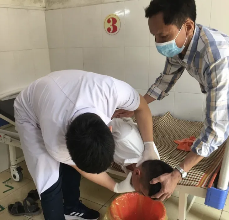 11 học sinh bị ngộ độc do ăn hạt quả ngô đồng - Ảnh 1.