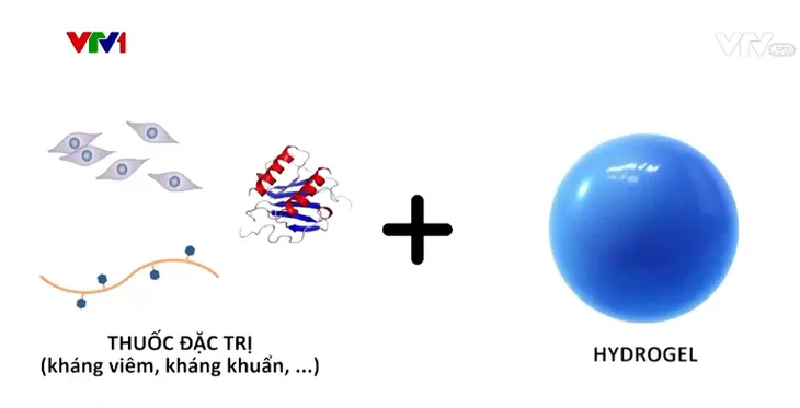 Công nghệ vật liệu mới làm lành vết thương cho bệnh nhân đái tháo đường - Ảnh 1.