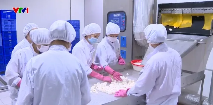 Cơ hội và thách thức xuất khẩu sang Trung Quốc - Ảnh 1. Cơ hội và thách thức xuất khẩu sang Trung Quốc - Ảnh 1.