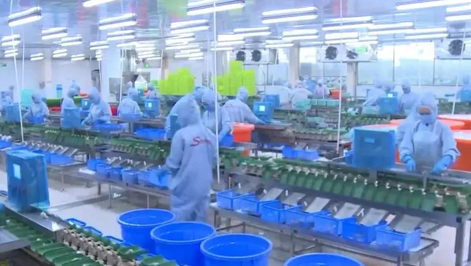 Cơ hội và thách thức xuất khẩu sang Trung Quốc - Ảnh 2. Cơ hội và thách thức xuất khẩu sang Trung Quốc - Ảnh 2.