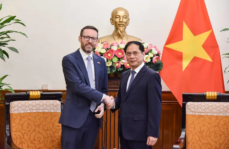 Quan hệ Đối tác chiến lược giữa Việt nam và Anh phát triển tích cực - Ảnh 1. Quan hệ Đối tác chiến lược giữa Việt nam và Anh phát triển tích cực - Ảnh 1.