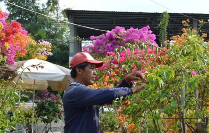 Đồng Tháp: Bảo tồn các làng nghề truyền thống có nguy cơ mai một - Ảnh 1. Đồng Tháp: Bảo tồn các làng nghề truyền thống có nguy cơ mai một - Ảnh 1.